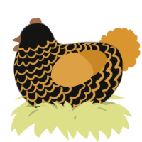 A black and orange chicken with a lace pattern