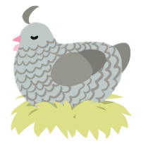 A silver and ash chicken with a lace pattern