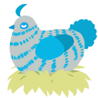 A silver and cerulean chicken with a bar pattern