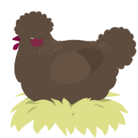 A bark chicken with a neck-speckle pattern