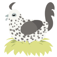 A white and grey chicken with a speckle pattern