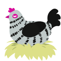 Elster, a silver and black chicken with a bar pattern