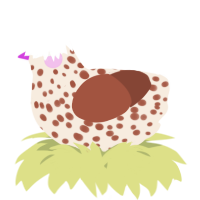 A cream and russet chicken with a speckle pattern