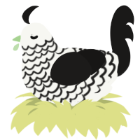 (unnamed), a white and sable chicken with a lace pattern
