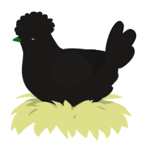 A sable chicken