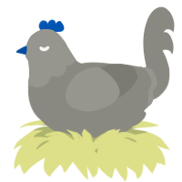 A ash chicken with a head pattern