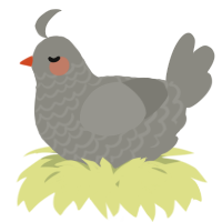 A ash chicken with a lace pattern