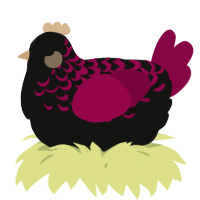 A black and maroon chicken with a half-lace pattern