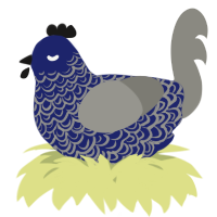 A navy and ash chicken with a double-lace pattern