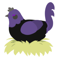 Bernkastel, a black and overcast chicken with a head pattern