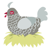 Io, a ash and silver chicken with a lace pattern