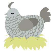 A silver and ash chicken with a lace pattern