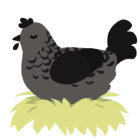 VIRUS DOT DOS, a grey and sable chicken with a half-lace pattern