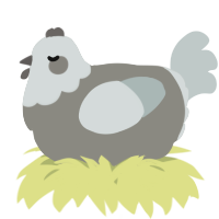 A ash and silver chicken with a head pattern