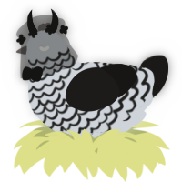 A mist and sable chicken with a lace pattern