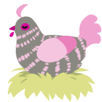 Pink Robin, a ash and pink chicken with a bar pattern