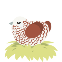A white and russet chicken with a lace pattern