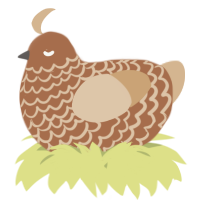 A brown and beige chicken with a lace pattern