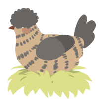 A beige and grey chicken with a bar pattern
