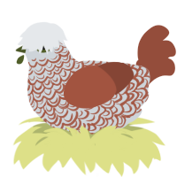 Cocomelon, a mist and russet chicken with a double-lace pattern