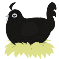 A black and sable chicken with a double-lace pattern