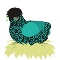 笑顔, a sable and turquoise chicken with a double-lace pattern