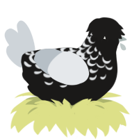 Black Ice, a sable and mist chicken with a half-lace pattern