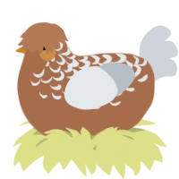 A brown and mist chicken with a half-lace pattern