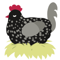 A sable and ash chicken with a speckle pattern