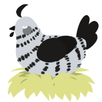 A mist and sable chicken with a bar pattern