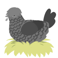 Noir, a amethyst and maroon chicken with a lace pattern