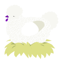 Nimbus, a white chicken with a double-lace pattern