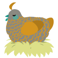 A ash and ochre chicken with a lace pattern