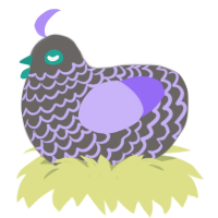 Semi, a grey and lilac chicken with a lace pattern