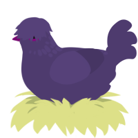 melodija, a overcast chicken with a neck-speckle pattern