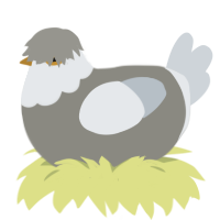 Grouse, a ash and mist chicken with a head pattern