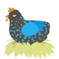 A bark and sky chicken with a speckle pattern