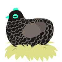 Cosimo, a sable and grey chicken with a lace pattern