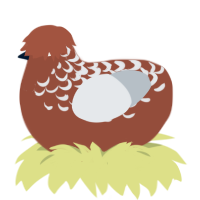 Chocodada, a russet and mist chicken with a half-lace pattern