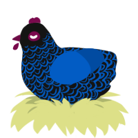 Midnight Lover, a black and ultramarine chicken with a double-lace pattern
