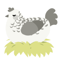 A white and ash chicken with a half-lace pattern