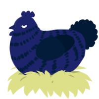 A navy and tumblr chicken with a bar pattern