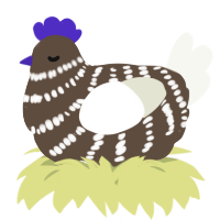 A bark and white chicken with a bar pattern