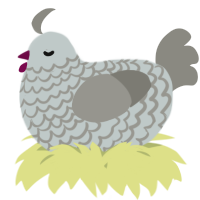 A silver and ash chicken with a lace pattern