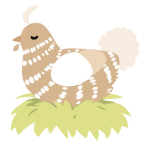 A beige and cream chicken with a bar pattern