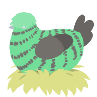 A spring and grey chicken with a bar pattern