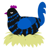 A black and ultramarine chicken with a bar pattern