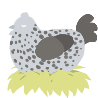 A mist and grey chicken with a speckle pattern