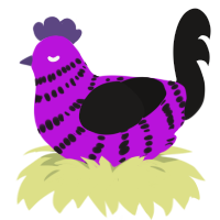 (unnamed), a amethyst and sable chicken with a bar pattern