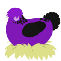 A violet and black chicken with a neck-speckle pattern